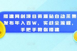 搭建网创项目资源站自动采集发布年入百W，实战全流程，手把手教你搭建【揭秘】