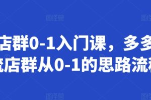 多多店群0-1入门课，多多自然流店群从0-1的思路流程