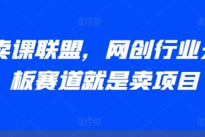 AI卖课联盟，网创行业天花板赛道就是卖项目