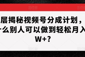 深层揭秘视频号分成计划，为什么别人可以做到轻松月入1W+?