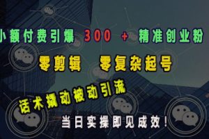 小额付费引爆 300 + 精准创业粉，零剪辑、零复杂起号，话术撬动被动引流，当日实操即见成效