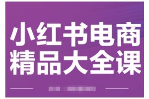 小红书电商精品大全课，快速掌握小红书运营技巧，实现精准引流与爆单目标，轻松玩转小红书电商