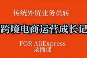 跨境电商速卖通运营课，运营方法论+后台实操，逻辑清晰