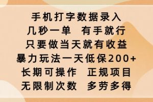 手机打字数据录入，几秒一单，有手就行，只要做当天就有收益，暴力玩法一天低保2张