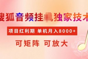 首发搜狐音频挂JI，项目红利期，可矩阵可放大，稳定月入5k【揭秘】