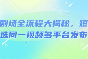 河马剧场全流程大揭秘，短剧爆款精选同一视频多平台发布实操