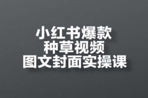 小红书爆款种草视频图文封面实操课，开店、选品、引流、变现全流程