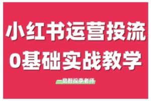 小红书运营投流，小红书广告投放从0到1的实战课，学完即可开始投放（更新）