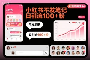 引流系列课14：小红书不发笔记日引流100+粉