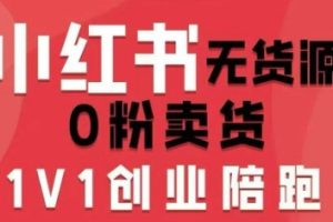 小红书无货源0粉电商课，开店准备、选品策略、笔记撰写、视频剪辑、数据分析、账号打造、资料文档（更新）