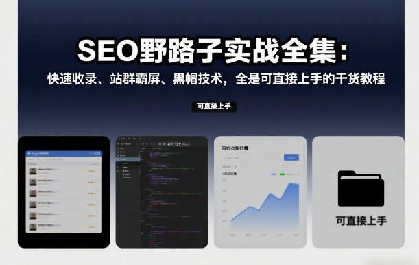 SEO野路子实战全集:快速收录、站群霸屏、黑帽技术,全是可直接上手的干货教程插图 SEO野路子实战全集:快速收录、站群霸屏、黑帽技术,全是可直接上手的干货教程