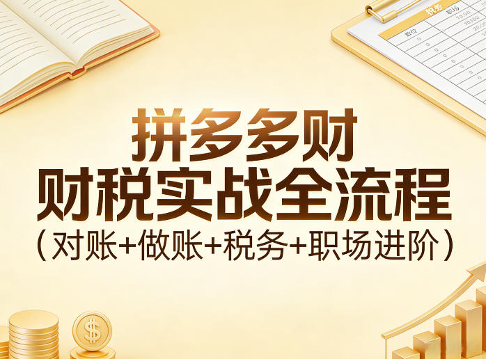 拼多多财税实战全流程(对账+做账+税务+职场进阶)插图 拼多多财税实战全流程(对账+做账+税务+职场进阶)