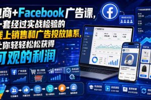 电商+Facebook广告课,一套经过实战检验的线上销售和广告投放体系,让你轻轻松松获得可观的利润【原创双语字幕】